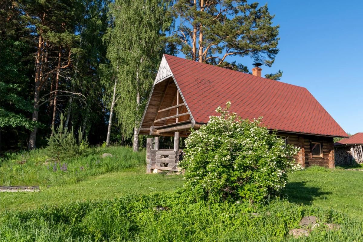 Дома для отпуска Mesikamäe Puhkemaja Пылва-24